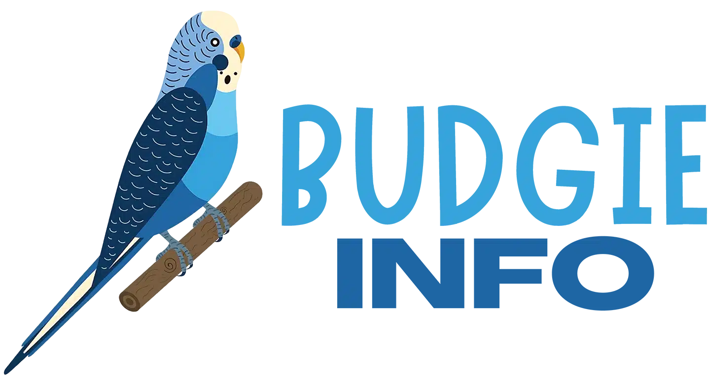 Budgie Info